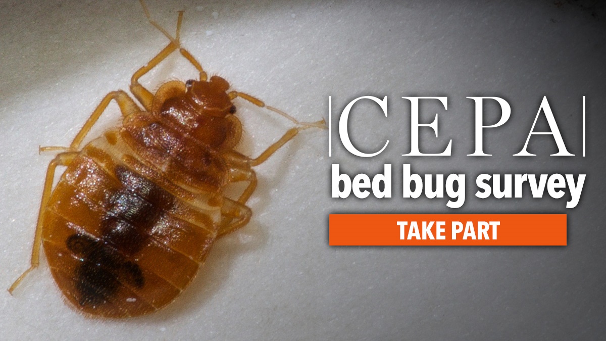 Cepabedbugsurvey